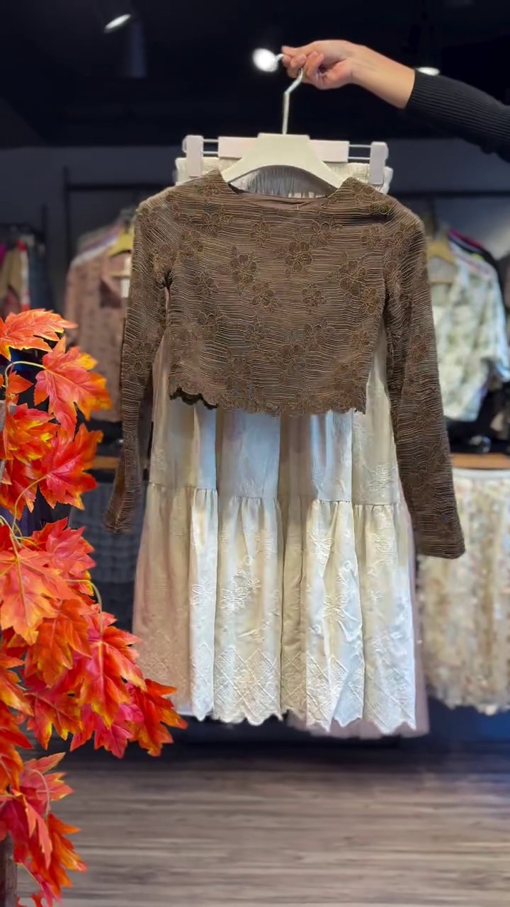 🌸 Autumn Grace Layered Lace Dress Set 🍂 | Elegant Long Sleeve Overlay | XXS–XXL